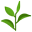 The Pleasures Of Tea Icon