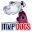 MVPDOGS.com Icon