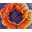 Barbtoland.com Icon