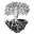 Fruits to the Roots Icon
