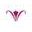 Joanielandaudesigns.com Icon