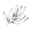 Botanicajewellery.com Icon