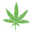 Glassbongs.com.au Icon