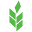 ReleafCBD Icon