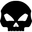 Skullycustoms.com Icon