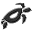 Honu Hawaii Activities Icon