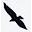 Kraek.com Icon