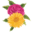 Lakesideflorist Icon