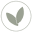 Seedling & Co. Icon