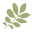 Miracleinthegreen.com Icon