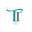 Tippytotshoes.com Icon