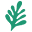 Amara Organic Foods Icon