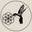 Rnrlegacy.com Icon