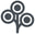 Zoli Icon