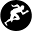 Science In Sport Icon