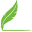 Copify Icon