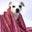 Lolamylove.com Icon