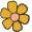 Little Scouts Icon