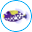 Fishtanksdirect.com Icon