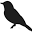 Pine Tree Tools Icon