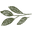 Narrowgatefoods.com Icon