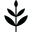 Evereden Icon