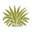Sanjosehotelstore Icon