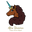 Afro Unicorn Icon