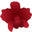 Bellaniecele.com Icon