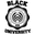 Blackuniversity.org Icon