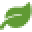 Carefast.com Icon