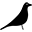 Prunelle.ca Icon