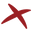 Right Cross Icon