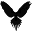 Fenixsportier.com Icon