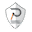 Perfectsoccerskills.com Icon