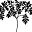 Bloomingblends.co.uk Icon