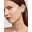 Palomastipp.com Icon