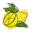 Zestbillings.com Icon