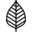 Wildblends.com.au Icon