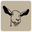 Happygoatcoffee.com Icon
