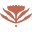 The Mustard Seed Marketplace Icon