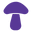Staywyldorganics.com Icon