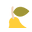 Littlebabycompany.com Icon