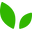 Plantveda.com Icon