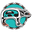 Spiritbearcoffeecompany.com Icon