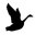 Wild Goose Coffee Roasters Icon