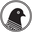 Pavementcoffeehouse.com Icon