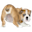 Glandex AU Icon