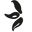 Ancoracoffee.com Icon