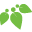 Mountain Meadow Herbs Icon